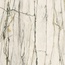 Versace Maximvs С000588720 G67553_MAXIMVS CALA.GREEN LUX R 120X120 gres porcelánový 120x120 cm, Itálie, kalkata - fotografie 1