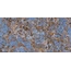 Versace Maximvs С000587907 G67585_MAXIMVS GALAX.BLUE LUX R 60X120 gres porcelánový 60x120 cm, Itálie, ostatní druhy mramoru - fotografie 1
