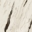 Versace Maximvs С000588702 G67621_MAXIMVS PANDA WHIT LUX R 60X60 porcelain tile 60x60 cm, Italy, other types of marble - photo 1