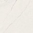 Versace Maximvs С000588698 G67630_MAXIMVS STAT.WHITE NAT R 60X60 Feinsteinzeug 60x60 cm, Italien, statuario - Foto 1