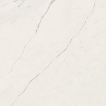 Versace Maximvs С000588698 G67630_MAXIMVS STAT.WHITE NAT R 60X60 Feinsteinzeug 60x60 cm, Italien, statuario - Foto 1 - Foto 1