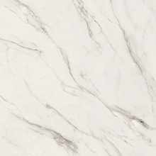 Versace Maximvs С000588717 G67550_MAXIMVS STAT.WHITE LUX R 120X120 Feinsteinzeug 120x120 cm, Italien, statuario - Foto 1 - Foto 1