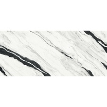 Versace Maximvs 63110 Panda White A porcelain tile 120x278 cm, Italy, marble look - photo 1 - photo 1