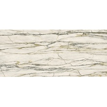 Versace Maximvs G67503 Calacatta Green Lux R porcelain tile 120x280 cm, Italy, marble look - photo 1 - photo 1