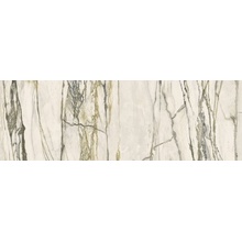 Versace Maximvs G0067543 Calacatta Green Lux R porcelain tile 40x120 cm, Italy, marble look - photo 1 - photo 1
