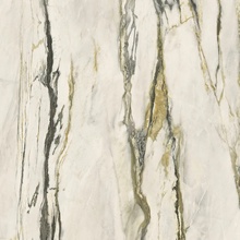 Versace Maximvs G67623 Calacatta Green Lux R porcelain tile 60x60 cm, Italy, marble look - photo 1 - photo 1