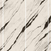 Versace Maximvs PF60010973 Panda White Lux R набор из 4шт Decor 280x480 cm, Italy, stone  - photo 1 - photo 2