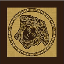 Versace Maximvs G0067822 Angolo Brown / Oro Lux Insert 10x10 cm, Italy - photo 1 - photo 1