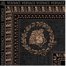 Versace Maximvs G0067810 Angolo Nero / Oro Lux Insert 20x20 cm, Italy - photo 1 - photo 1