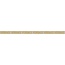 Versace Meteorite С000493305 0047112_Lis.Fir.NatBian/Oro Decor 2,7x60 cm, Italy, gold and precious metals - photo 1