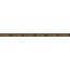 Versace Meteorite С000493303 0047110_Lis.Fir.NatNero/Oro Decor 2,7x60 cm, Italy, gold and precious metals - photo 1