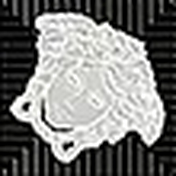 Versace Meteorite С000493322 0047141_Toz.Med.NatNero/Plat Decor 2,7x2,7 cm, Italy, gold and precious metals - photo 1 Versace Meteorite С000493322 0047141_Toz.Med.NatNero/Plat Decor 2,7x2,7 cm, Italy, gold and precious metals - photo 1