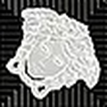 Versace Meteorite С000493322 0047141_Toz.Med.NatNero/Plat Sisustus 2,7x2,7 cm, Italia, kulta ja jalometallit - kuva 1 - kuva 1