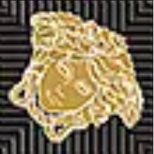 Versace Meteorite 47144 Tozzetto Medusa Naturale Moka/Oro Inserção 2,7x2,7 cm, Itália - foto 1 - foto 1