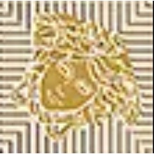 Versace Meteorite 47145 Tozzetto Medusa Naturale Miele/Oro Inserção 2,7x2,7 cm, Itália - foto 1 - foto 1