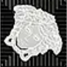 Versace Meteorite 47311 Tozzetto Medusa Lappato Nero/Platino Inserção 2,7x2,7 cm, Itália - foto 1 - foto 1