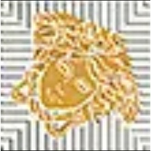 Versace Meteorite 47312 Tozzetto Medusa Lappato Bianco/Oro Inserção 2,7x2,7 cm, Itália - foto 1 - foto 1