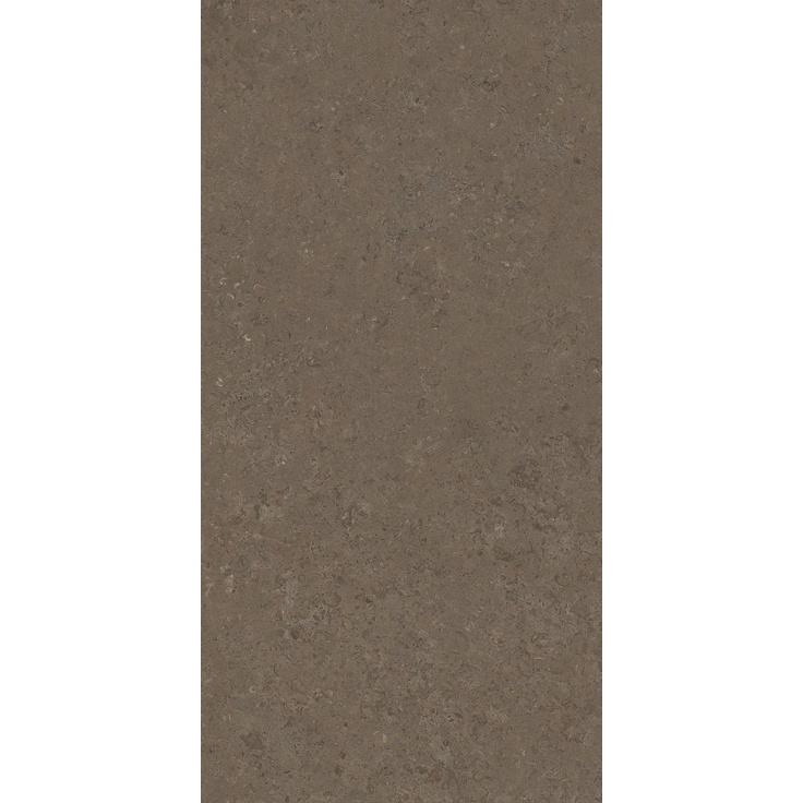 Versace V Stone С000625583 PF60020253_VSTONE BROWN R11 R 60X120 porcelain tile 60x120 cm, Italy, other types of stone - photo 1 Versace V Stone С000625583 PF60020253_VSTONE BROWN R11 R 60X120 porcelain tile 60x120 cm, Italy, other types of stone - photo 1