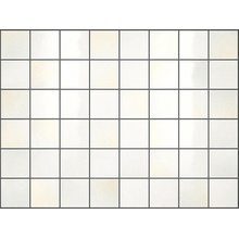 Vogue Riflessi С000573481 00RL9R72_RlOpaleRete5X5 Mosaico 30x40 cm, Itália - foto 1 - foto 1