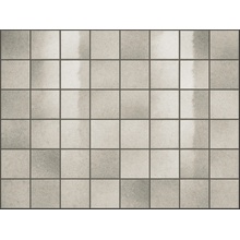 Vogue Riflessi С000573478 00RL9R42_RlQuarzoRete5X5 Mosaico 30x40 cm, Itália - foto 1 - foto 1