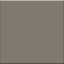 Vogue Trasparenze С000040081 TR_Grigio_20*20 Feinsteinzeug 20x20 cm, Italien, monochrom - Foto 1 - Foto 1