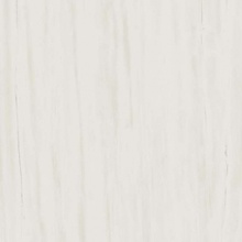 Atlas Concorde Italy Marvel Stone AZQS Bianco Dolomite porcelain tile 60x60 cm, Italy - photo 1 - photo 1